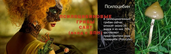 круглые Сясьстрой