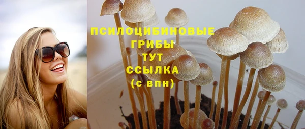 дурь Нефтекумск