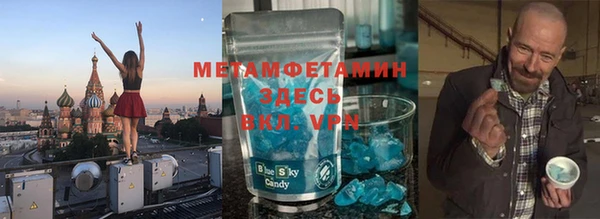 амф Тайга