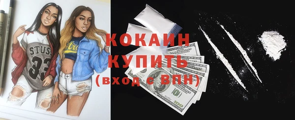 амф Тайга