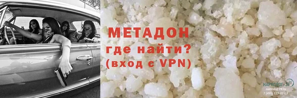 амф Тайга