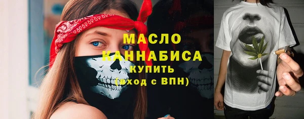 амф Тайга