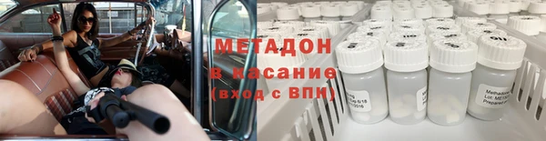амф Тайга