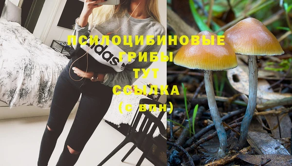 бутират Тавда