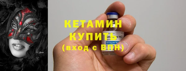 амф Тайга