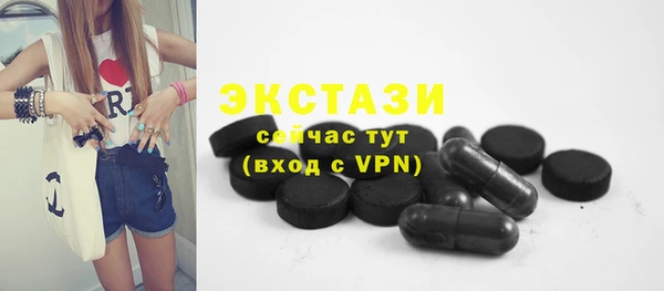 амф Тайга