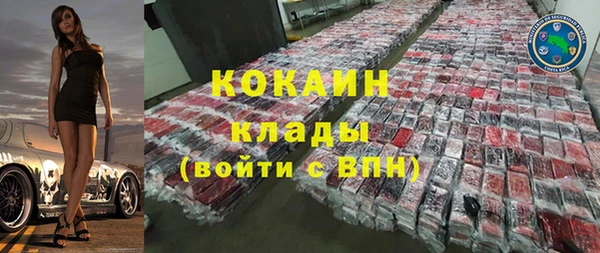 амф Тайга