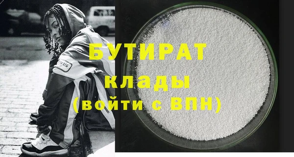 амф Тайга