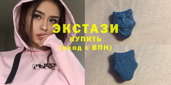 амф Тайга