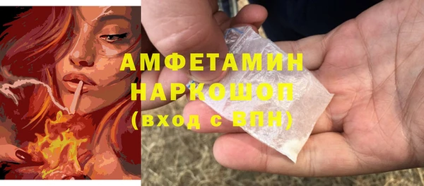 амф Тайга