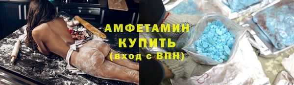 амф Тайга