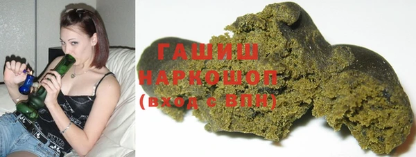 амф Тайга